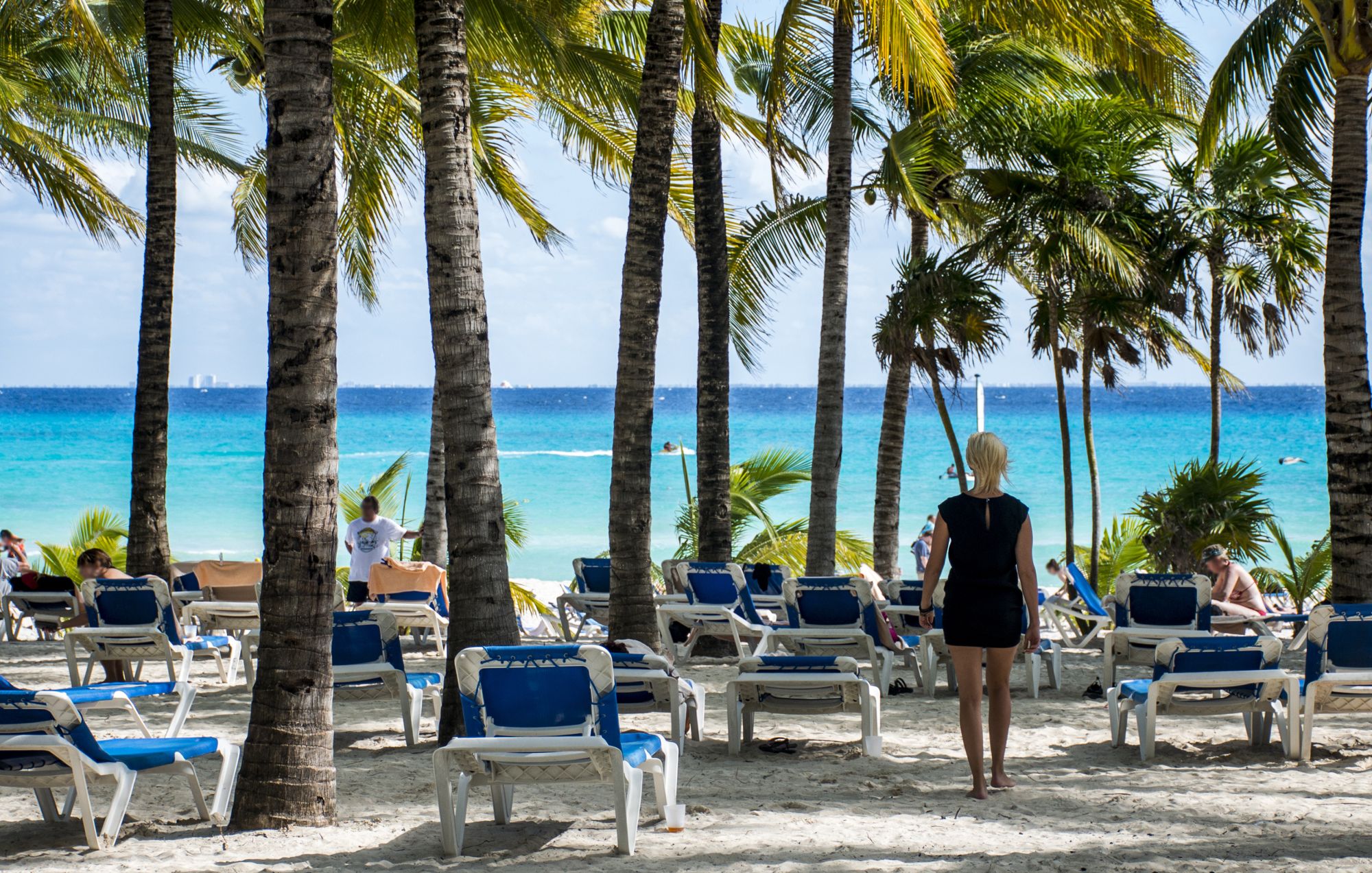 Plaża z palmami na Playe del Carmen w meksykańskim Jukatanie