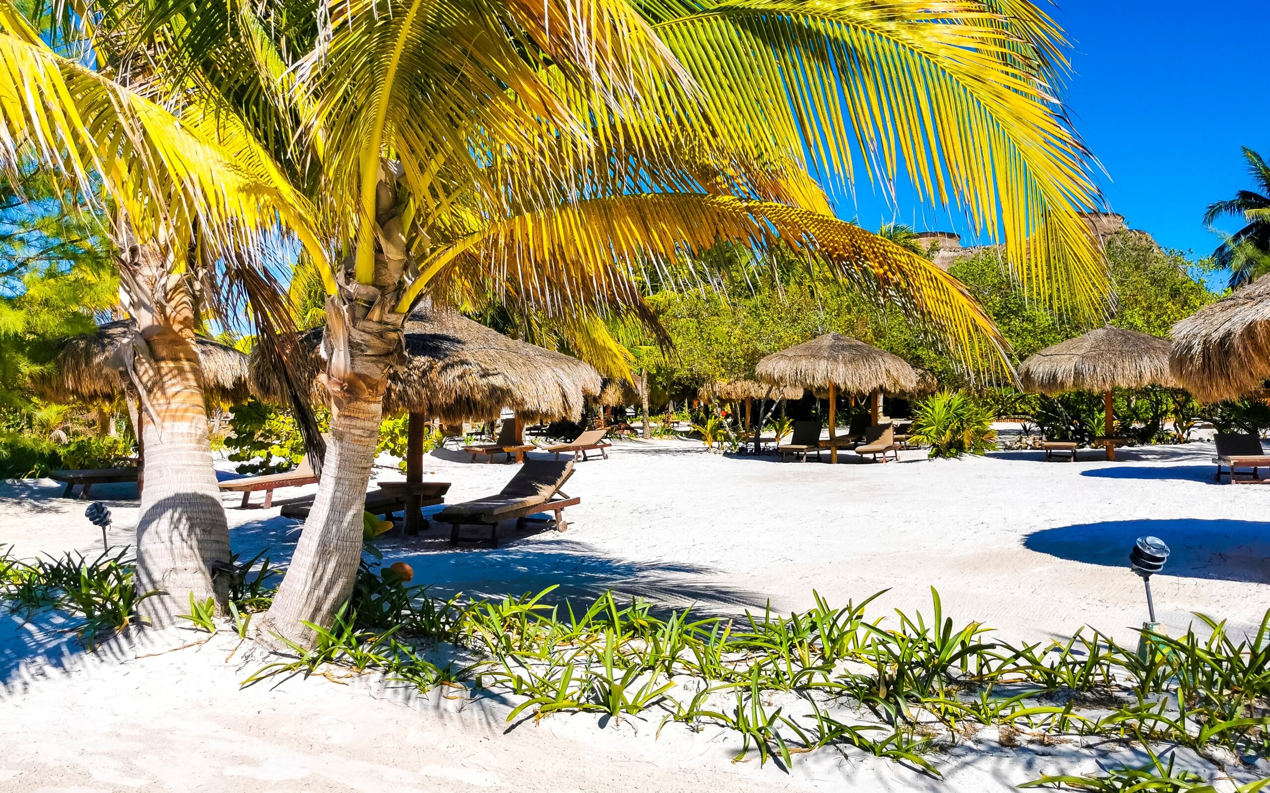 Kurorty i krajobraz z tropikalną przyrodą na pięknej wyspie Holbox w Quintana Roo w Meksyku.