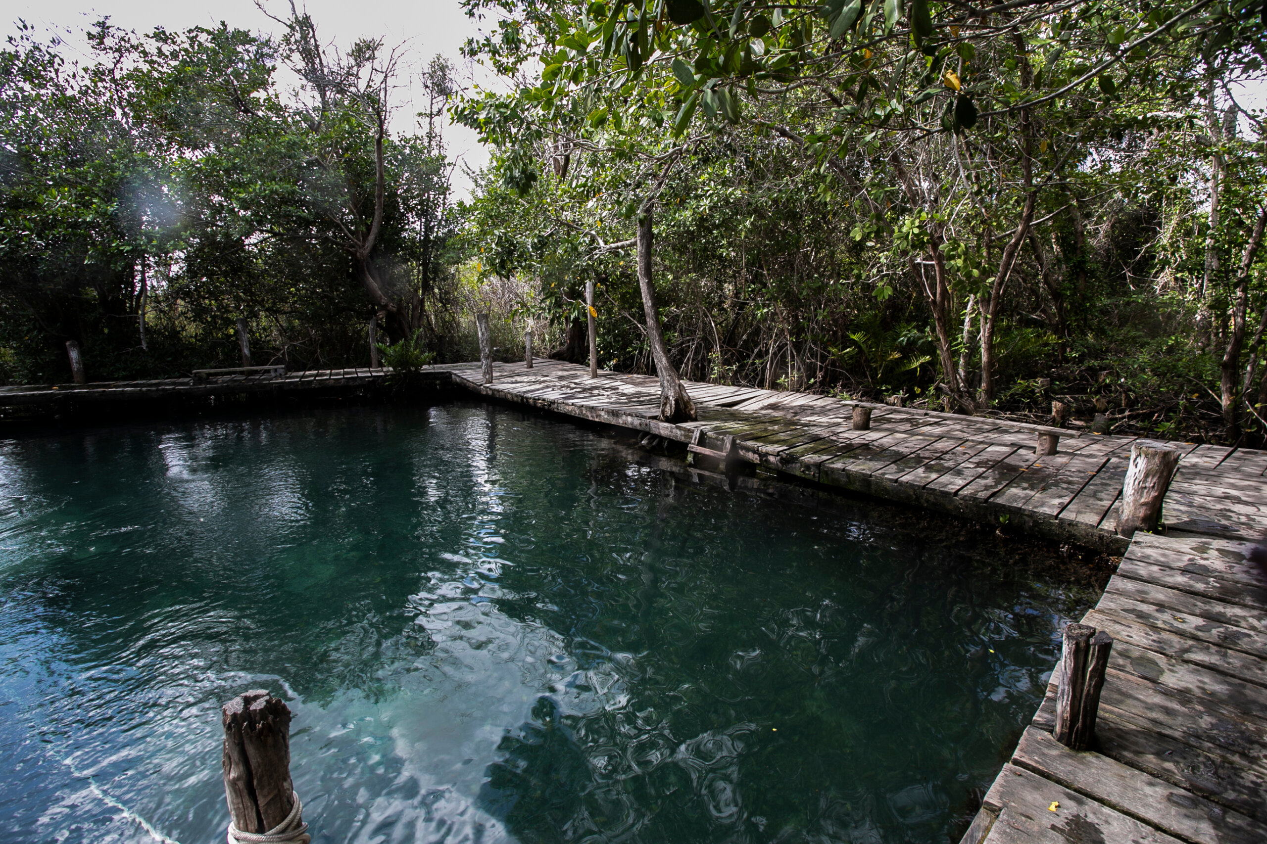 CENOTE OF THE HOLBOX ISLAND IN MEXICO