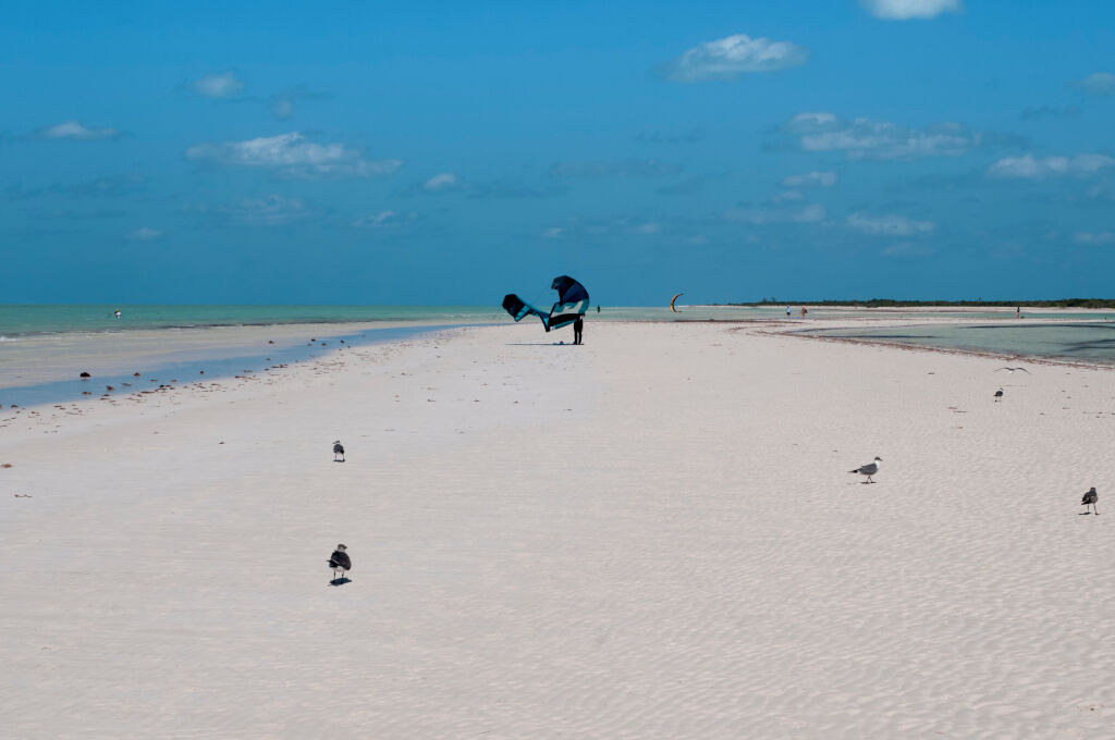 Kite surfer prepares his sail on the white sand beach in Holbox Island in Mexico during low tide. In the background the blue sky and the Caribbean Sea.
