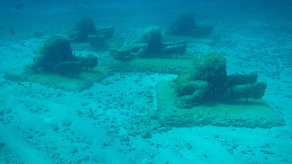 musa statues underwater