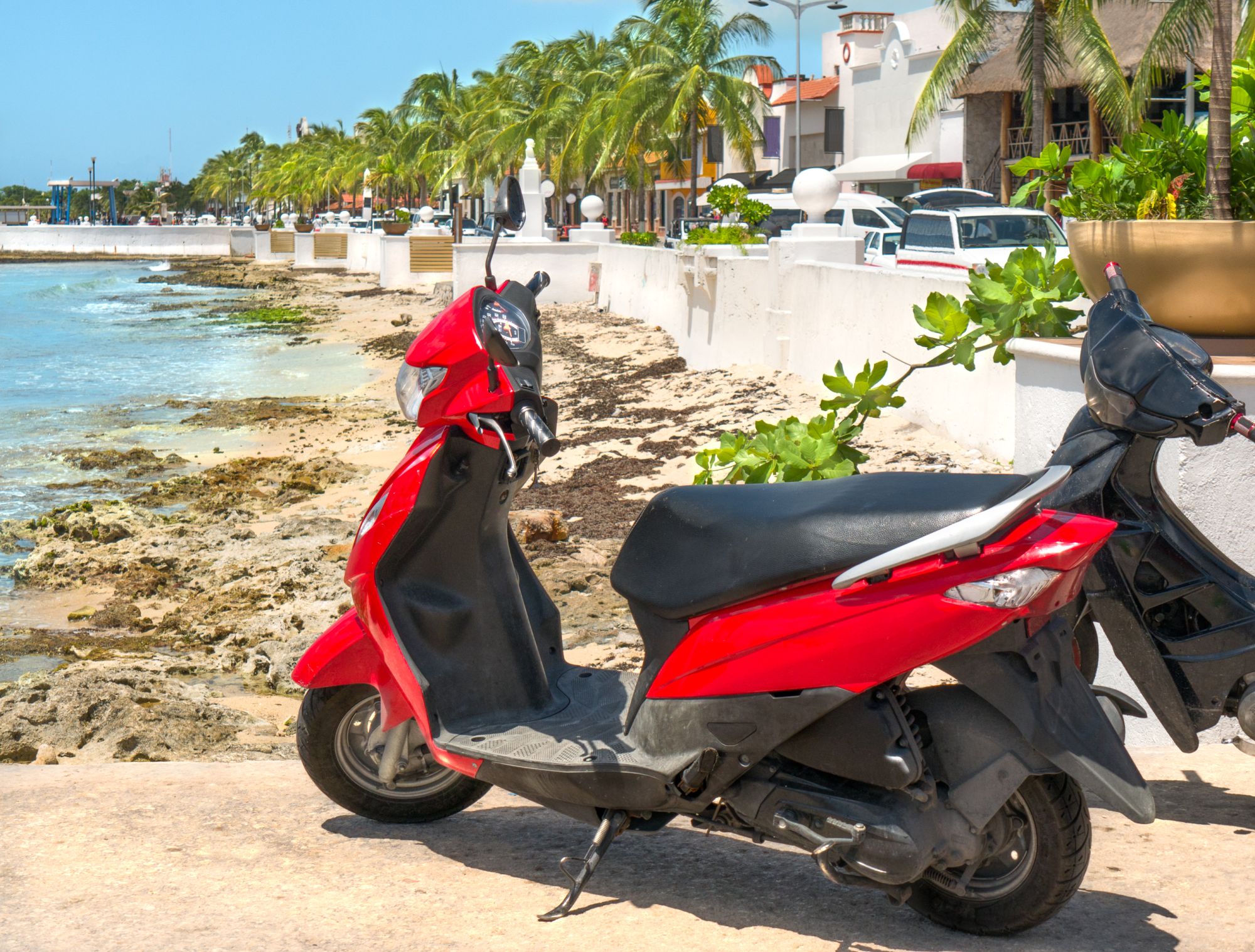 Czerwony skuter zaparkowany nieopodal plaży.
