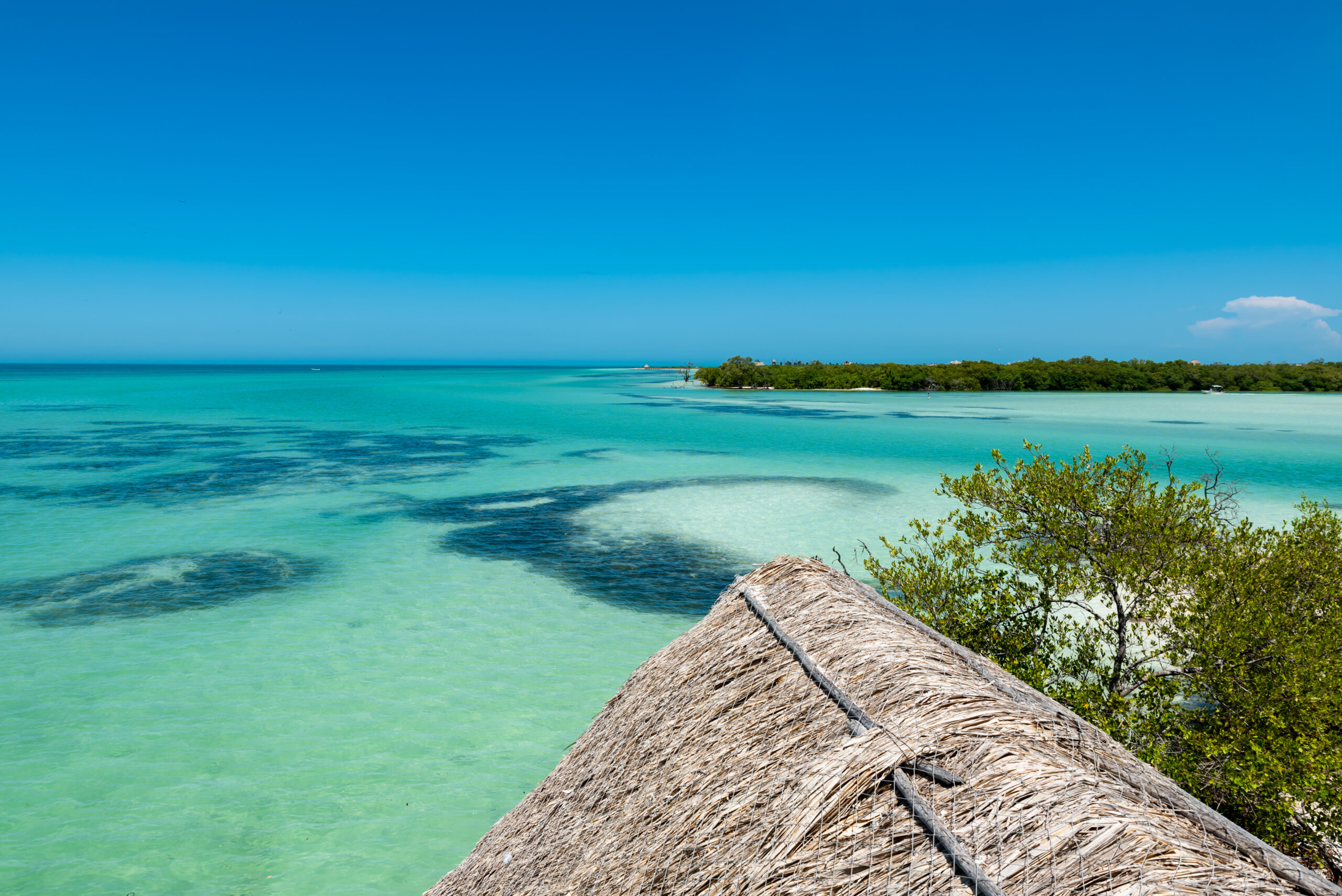 Tropical seascape in the "Yum Balam" nature reserve (Holbox island, Quintana Roo, Mexico).