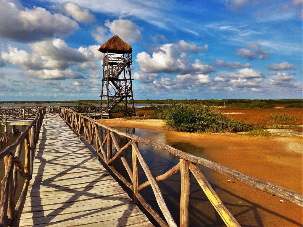 Wooden look-out / observation tower and boardwalk in swamps with crocodiles in Punta Sur on Cozumel, Riviera Maya, Mexico – protected natural area and beach park