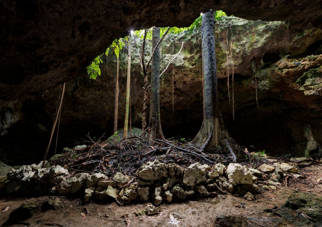                               Alux Cave, Chaak Tun Cenote, Riviera Maya, Playa del Carmen, Mexico