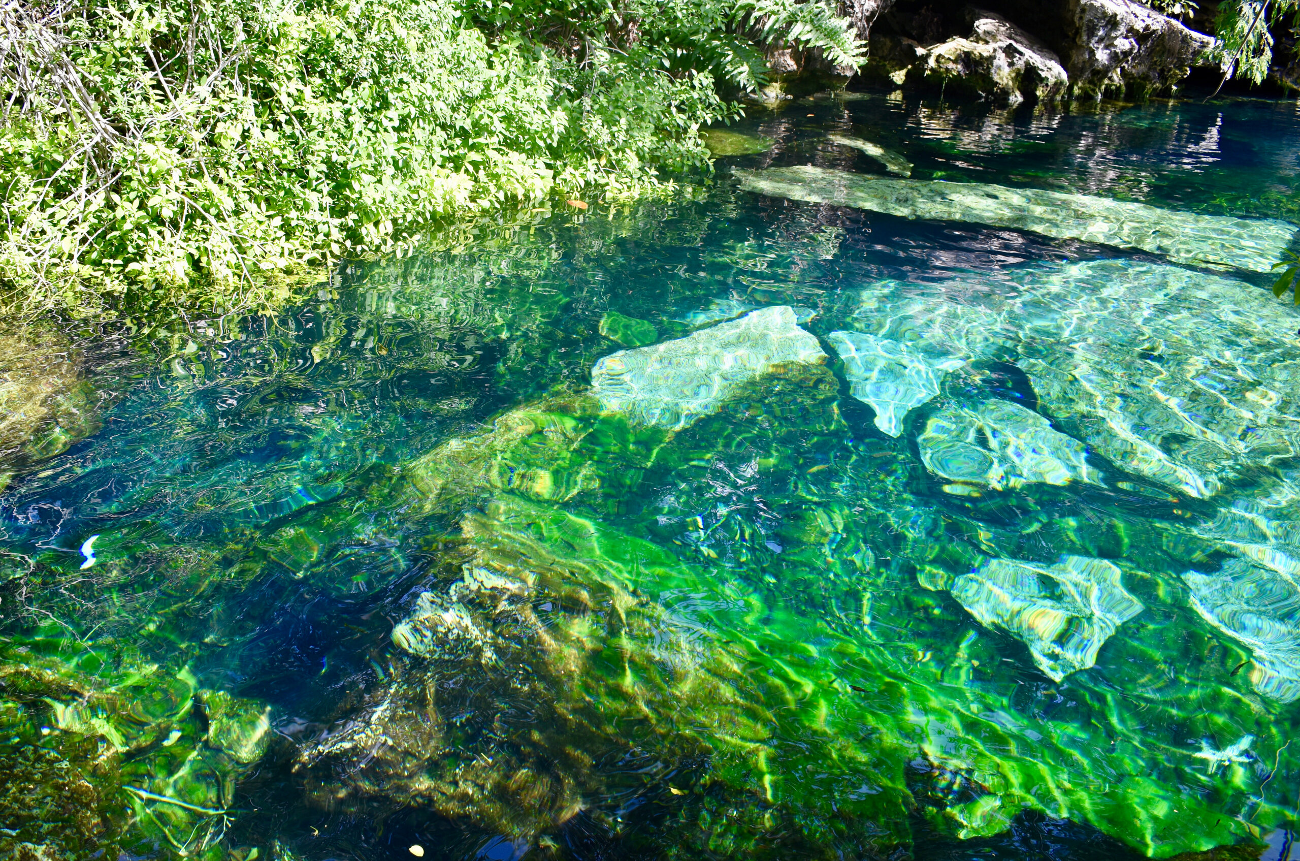 Cenote Cristalino, beautiful turquoise lake near Tulum Quintana Roo, México