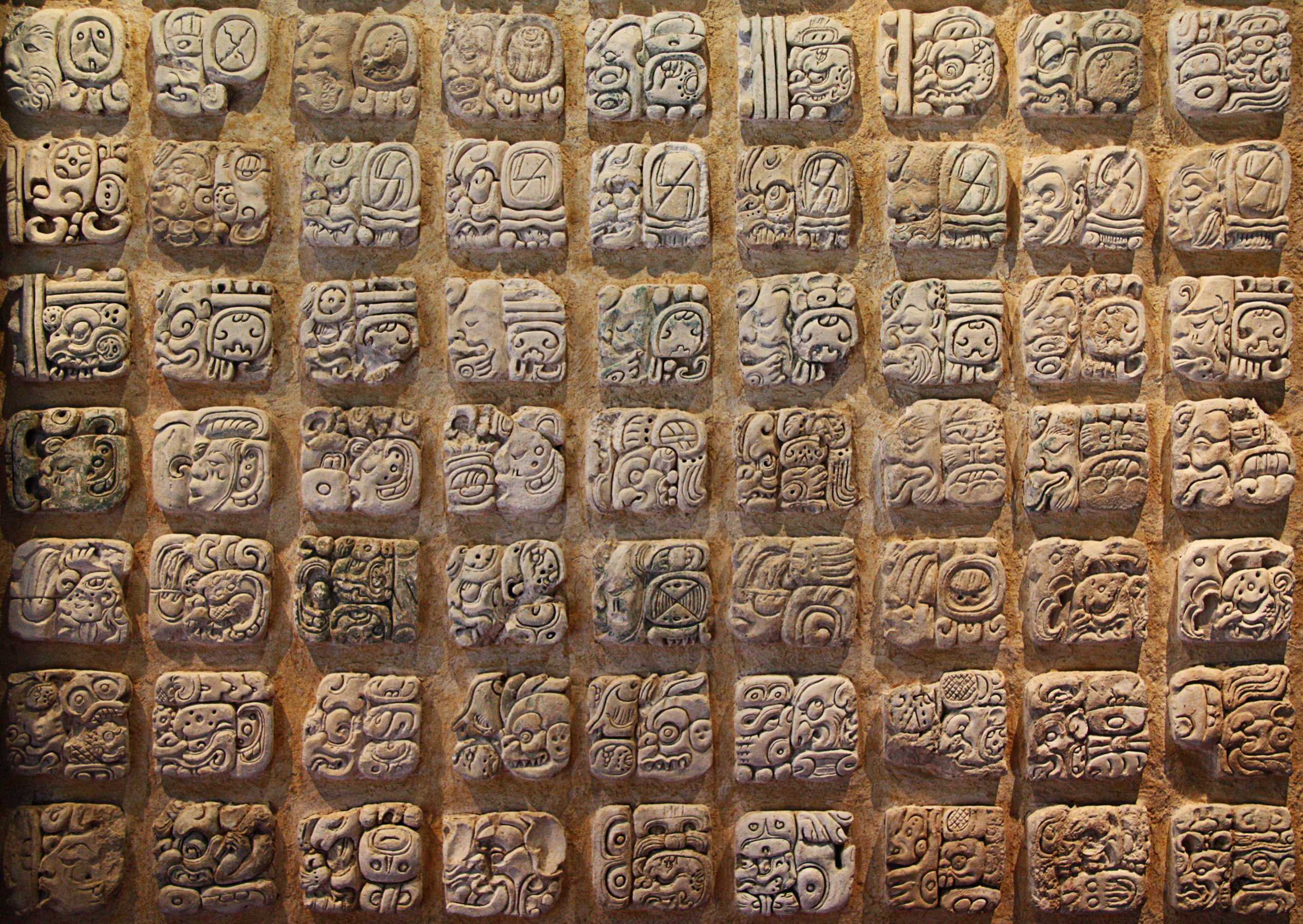 hieroglify Majów