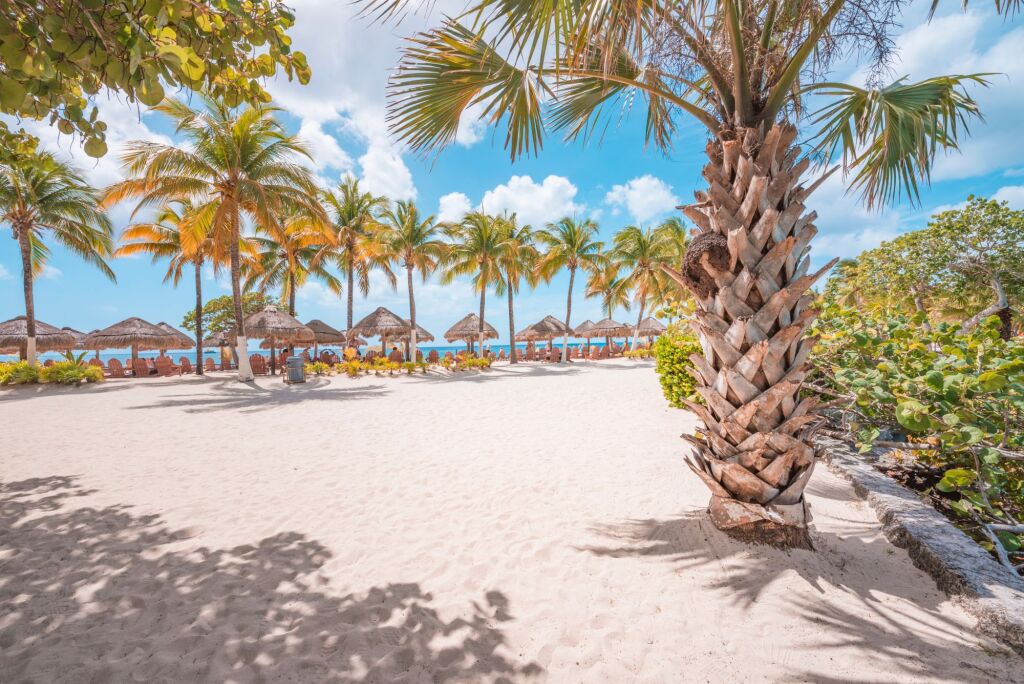 Paradise beach in the Caribbean Ocean at Cozumel Island, Mexico 
