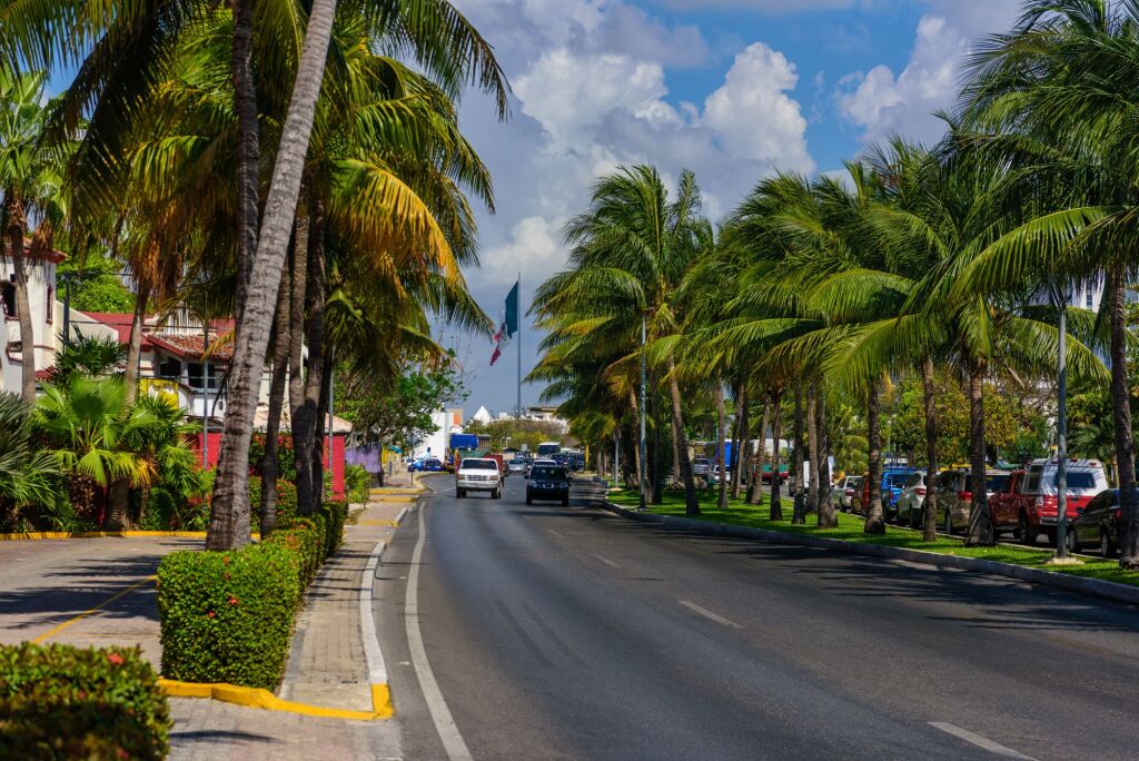 Road with cars and palm trees on the roadside and a big Mexican flag. Filmed in Cancun.