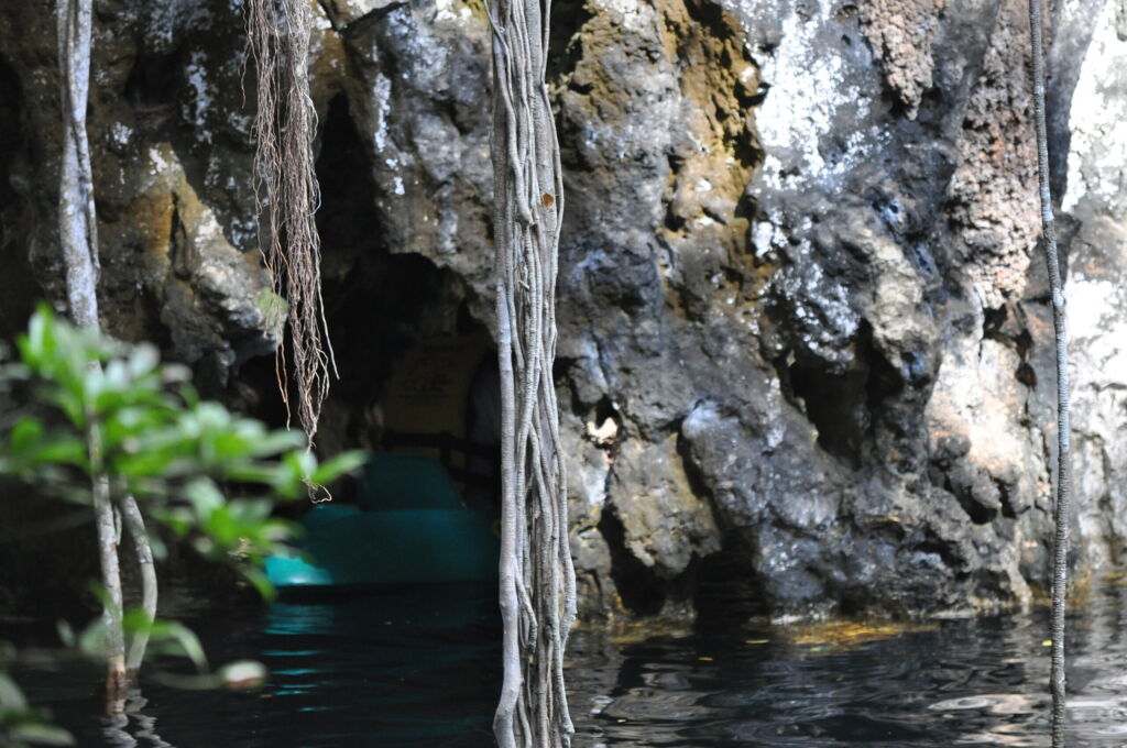 view of Cenote Yokdzonot, Yucatan, Mexico