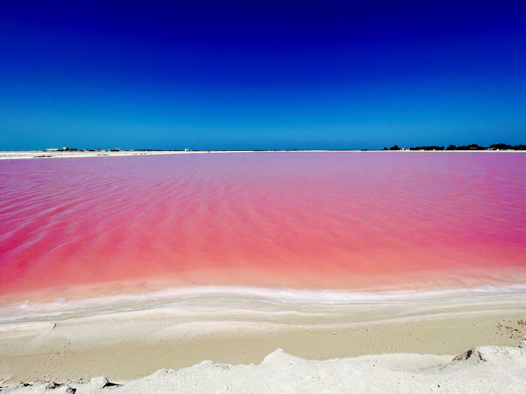 Las Coloradas in Zacatecas, Mexico. Las Coloradas, or 'blush red' in Spanish, get its magenta pink hue from red-coloured algae, plankton and brine shrimp that live its salty waters.