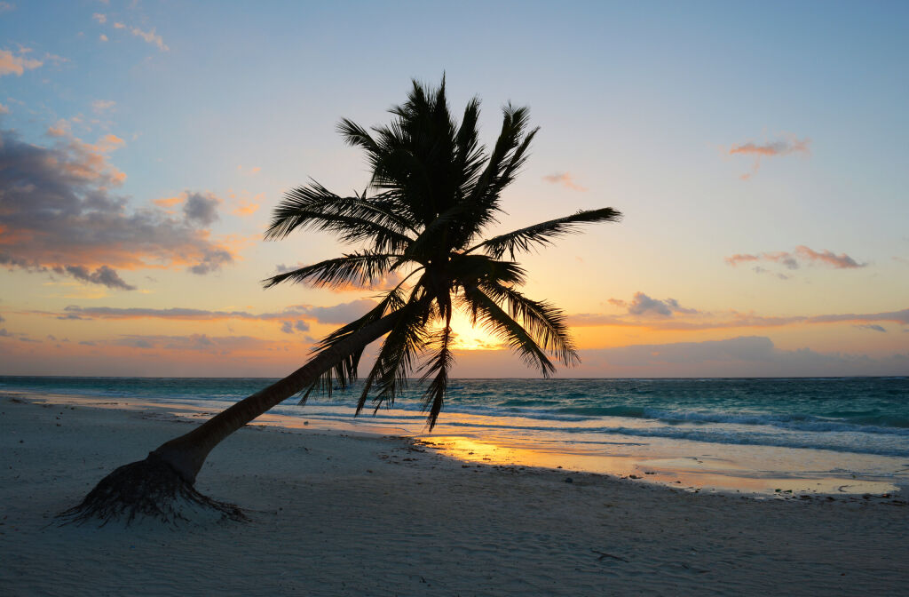 Sunrise on Tulum beach with coconut palm tree silhouette, Yucatan, Mexico. 