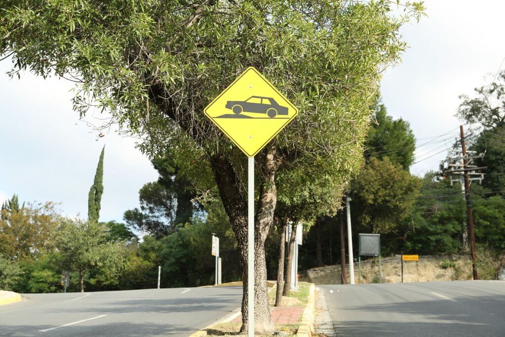 Speed bump road sign on city street