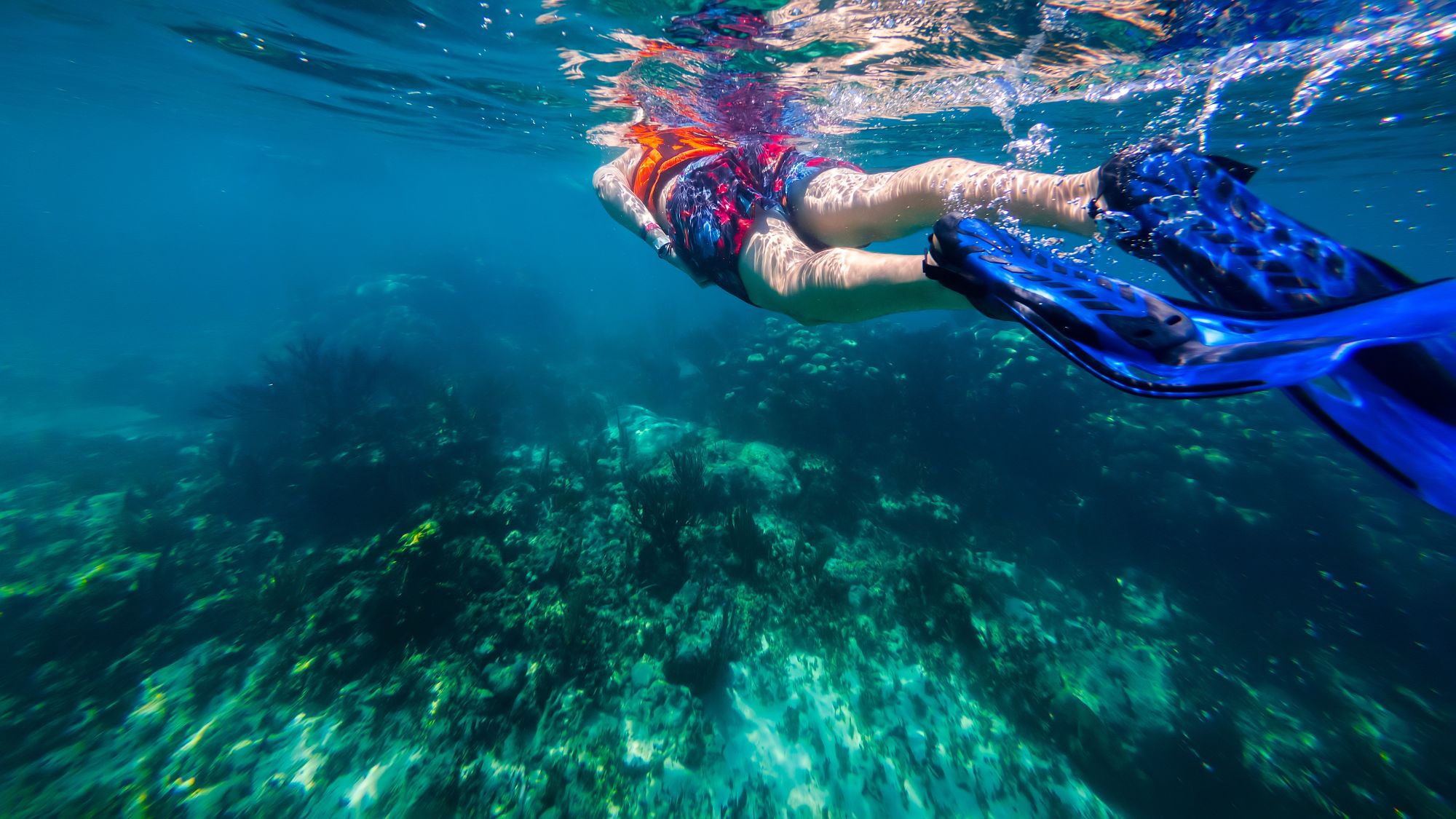 Snorkeling to pasja, której w Akumal możesz oddać się w pełni.
